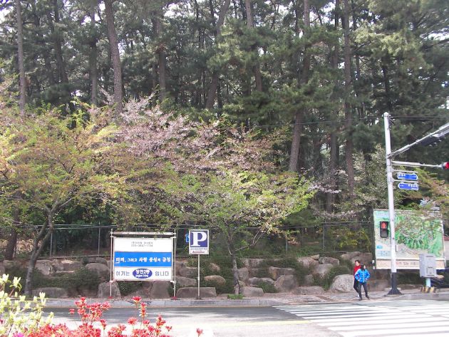 金剛植物園入口周辺の風景